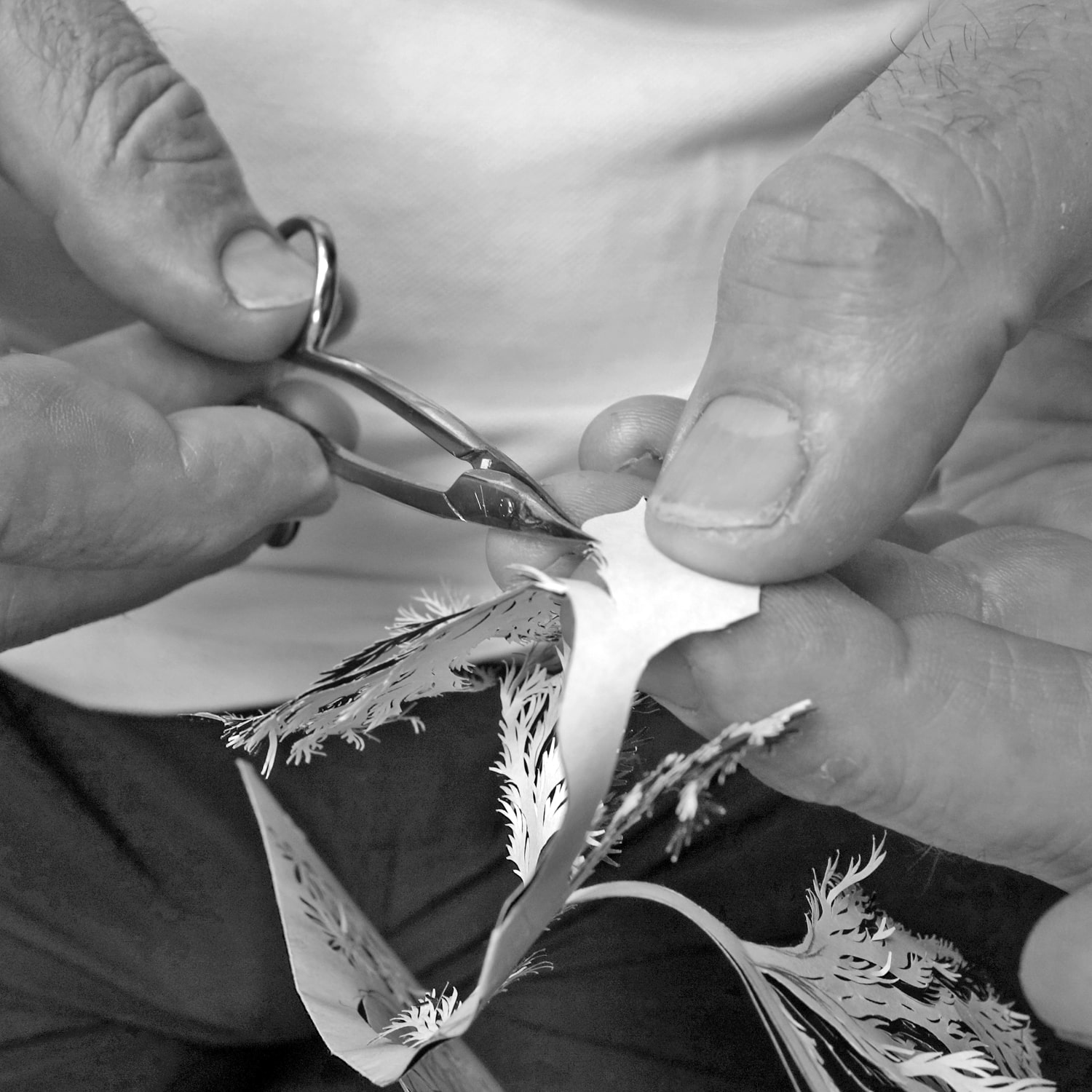 Scheren- und Papierschnitte sind auch echte Präzisionsarbeit